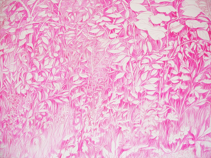 <span class=titre_dessin>el jardin del amor (détail)</span>dessin à la tête d'allumette et crayon de couleur sur papier en rouleau, <br />de 150 x 600 cm, 2011