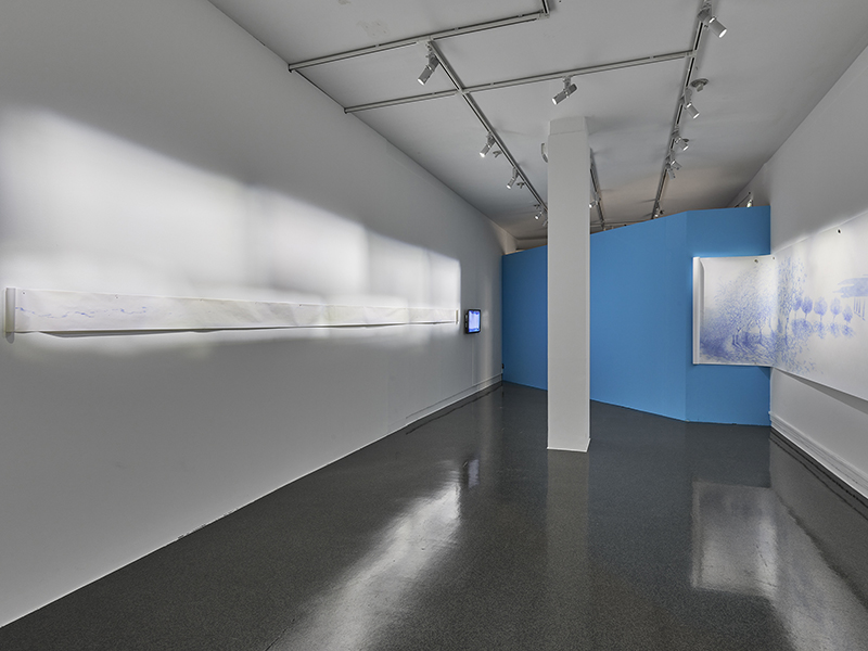 Exposition Nager-dessiner/ dans le sillage d’Aphrodite 2024