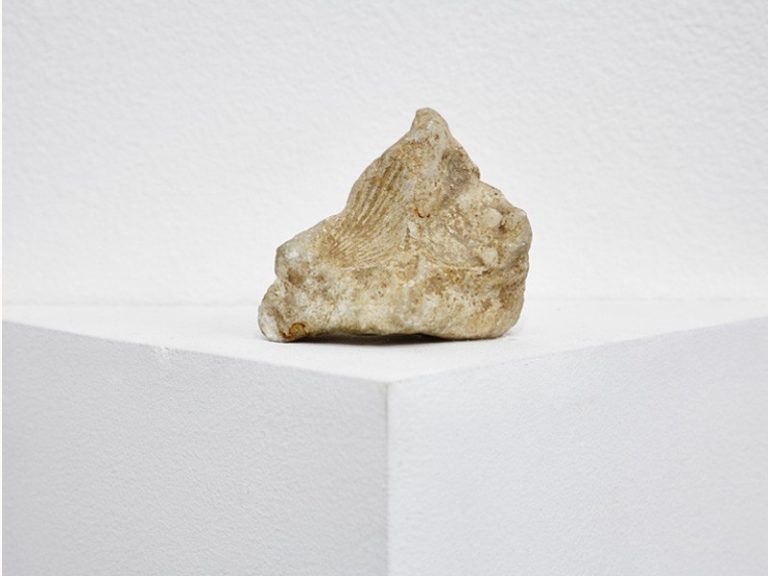 Coquillage