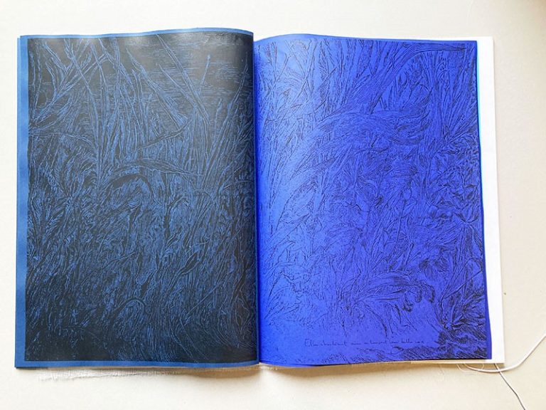 L&rsquo;&icirc;le inspir&eacute;e, Livre s&eacute;rigraphi&eacute;